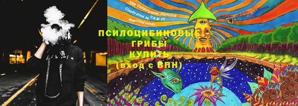амф Абаза