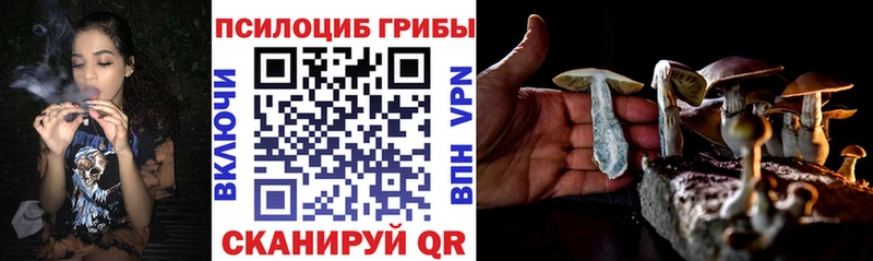 хочу наркоту  Железноводск  Псилоцибиновые грибы прущие грибы 