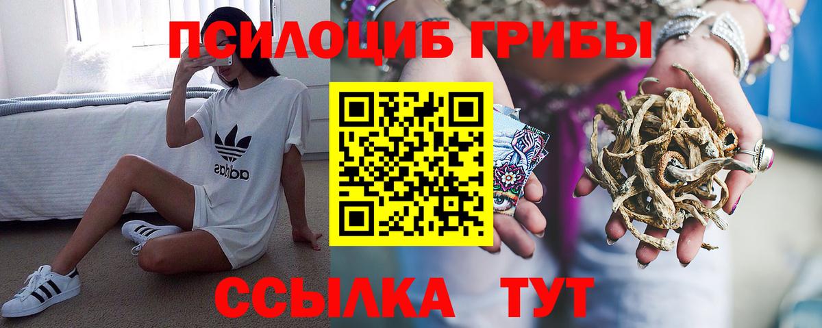 Псилоцибиновые грибы прущие грибы Железноводск